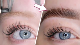 Microblading Eyebrows Step By Step  Brow Transformations [upl. by Naresh]