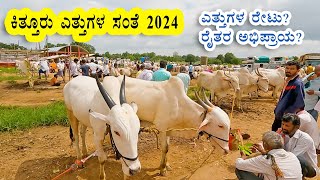 Kittur bullocks market  Exploring price breed business dynamics [upl. by Swiercz]