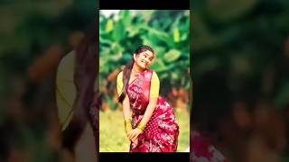 GANGADHARI DJ VERSION  PROMO 4K  NEW DJ FOLK 2024  SN STATUS EDITZ  folkmusic folk shorts [upl. by Church]