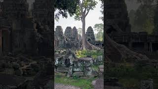 Banteay ktei temple video nature mountains youtubeshorts temple [upl. by Ecnahoy]