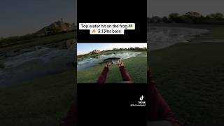 bassfishingpondfortworthtexas topwaterfrog lews creek creekwater fishcreek curadodc [upl. by Kamat]