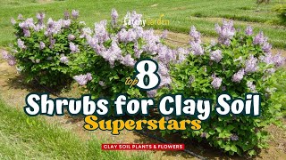 Top 8 Shrubs for Clay Soil Superstars 🌸🌷🌺  Gardening Ideas [upl. by Emmy]