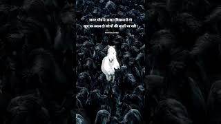 Horse status horse status video horse status attitude horse horse shorts horse shayari status [upl. by Hsiwhem]