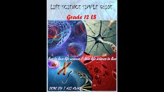 Immunology part 9 Lymphoid organs or immune organs Grade12 LS [upl. by Tracey]