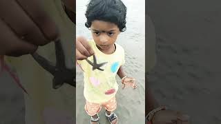 Star fish insta kidssong star trending short ytshorts shortvideo starfish ⭐⭐⭐⭐⭐ [upl. by Emoreg846]