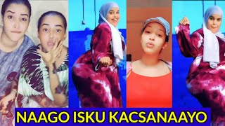 NIIKO IYO JAAM SIIGO WASMO DABO MACAAM  SOMALI TIKTOK 2022 [upl. by Alyakem]