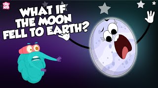 What If The Moon Fell To Earth  Moon Video For Kids  The Dr Binocs Show  Peekaboo Kidz [upl. by Steep]