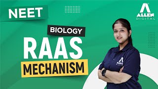 RAAS Mechanism  Excretory Products And Their Elimination  NEET 2024 Biology  ALLENNEET [upl. by Melody]