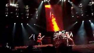 Nickelback Performing Animals LIVE in Tallahassee FL [upl. by Agler375]