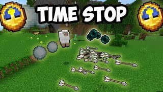 TIME FREEZE IN MINECRAFT [upl. by Hector]