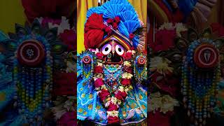 He mahabahu tuma sathe mo prana chhadiki jau🙏love jagannath viralvideo [upl. by Malarkey]