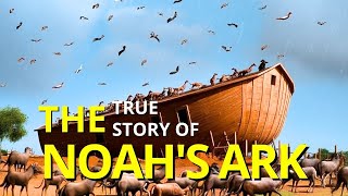 THE TRUE STORY OF NOAHS ARK FULL [upl. by Lovell]