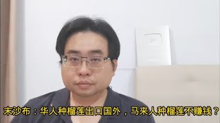 末沙布：华人种榴莲出口国外，马来人种榴莲不赚钱？ 11112024ahchungtalkshow8911 [upl. by Anirtik963]