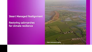 Steart Managed Realignment  Restoring saltmarshes for climate resilience [upl. by Knut706]