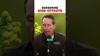 Berberine Side Effects shorts performancemedicine [upl. by Gustie125]