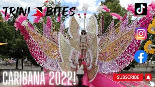 Trini Bites  Caribana 2022 TORONTO CARNIVAL [upl. by Nrol]