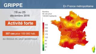 Grippe  un mois dépidémie en France [upl. by Yblok]