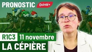 Pronostic PMU Quinté Flash à La Cépière R1C3 du 11 novembre 2024 [upl. by Gans]