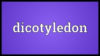 Dicotyledon Meaning [upl. by Ailedo]