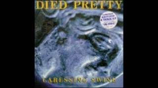 Died Pretty  The Cross [upl. by Ara]