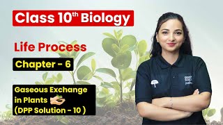 Life Processes  Gaseous Exchange in Plants DPP Solution 10  Class 10 Biology Chapter 6 [upl. by Ille]