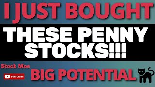 BEST PENNY STOCKS TO BUY NOW February Growth Stocks 2021 [upl. by Maggie]