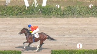 2nd Race The Aberdonian Plate Distance 1000 Meters Winner Life Is Good  Pakistan Horse Racing [upl. by Nedroj669]