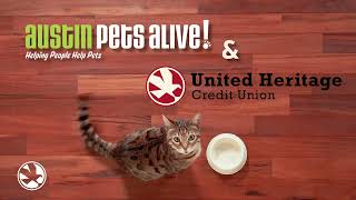 Buy a Home with UHCU and Adopt a Pet at Austin Pets Alive [upl. by Oisacin]