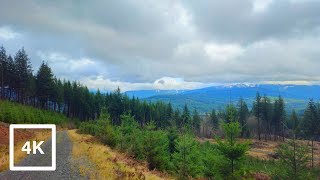 Washington State Trails  Yacolt Burn State Forest  Video For Exercise Elliptical [upl. by Asela]