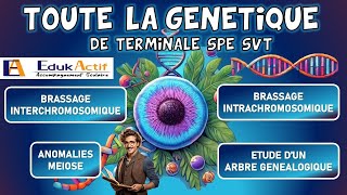 Toute la génétique expliquée pour la spécialité SVT en terminale revision génétique chromosome [upl. by Ahsiret]