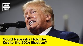 The TrumpBacked Push to Change Nebraska’s Election Laws [upl. by Nodyarb149]