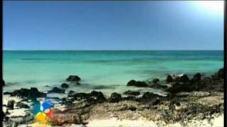 Corralejo in Fuerteventura Travel  Holidays  Pleasure Beach amp Weather Canary Island [upl. by Groos]