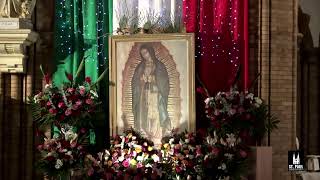 St Paul Novena Live Stream Mass [upl. by Arod]