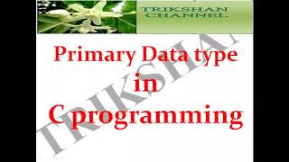 Primary data types in C programming [upl. by Arvid]