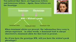 Genotypes and Phenotypesavi [upl. by Nelsen]