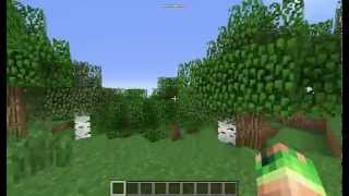 Minecraft  i3 2100  Intel HD 2000 [upl. by Judah]