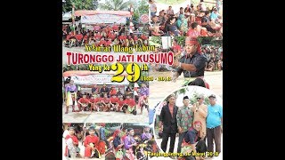 Kuda Kepang Turonggo Jati Kusumo 16 Maret 2018 Tanjungpinang [upl. by Enyrehtak]