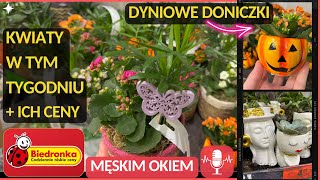 BIEDRONKA‼️ KWIATY W TYM TYGODNIU🌸 SUKULENTY W CERAMICE Z TWARZĄ 🪴DYNIOWE DONICZKI CHAMEDORA [upl. by Lyle361]