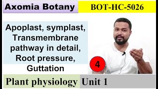 L4 Pathway Root pressure Guttation  Plant Physiology Dr Rajib BorahBsc Botany Axomia Botany [upl. by Senilec966]