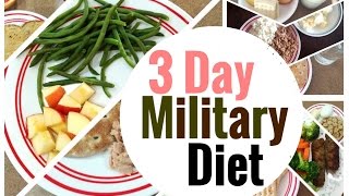 LOSE 10 POUNDS IN 3 DAYS  3 Day Military Diet Vlog  Does it Work  My Experience and Results [upl. by Eyssej807]