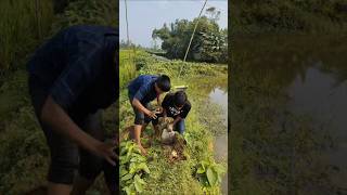 মাটির তলে স্বর্ণের বদনাfunnyvideo short videotrending viralshort india [upl. by Childs5]