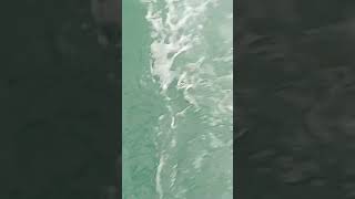 Arab Ocean  Oman  masirah Island youtube foryou trendingshorts trending youtubeshorts oman [upl. by Divadnoj265]