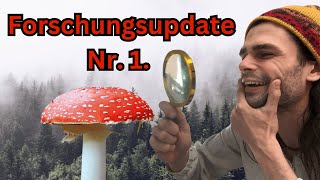 Fliegenpilzforschungsupdate  Erkenntnisse aus intensiver Forschungsarbeit mit Amanita Muscaria [upl. by Onairam]