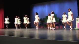 NPHC Homecoming Step Show 2009 [upl. by Ellette]