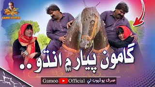 Gamoo Pyar Mai Andho  Asif Pahore Gamoo  Kheero Buriro  Gamoo New  Comedy Funny Video  2024 [upl. by Vallo18]