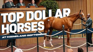 Million Dollar Babies Keeneland Yearling Sale 2024 [upl. by Ysnil]