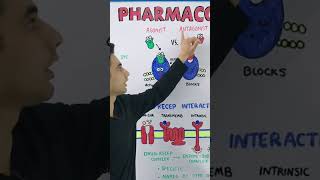 Agonist and Antagonist pharmacology medical [upl. by Jule]