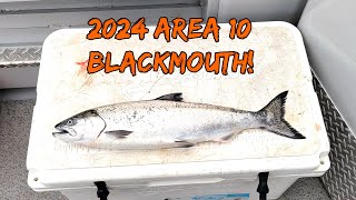 We caught winter blackmouth in Area 10 [upl. by Lyckman]