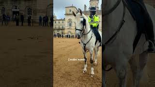 Heartwarming Moment Officer and Her Steed 🐴 london travel royalguard 🇬🇧 [upl. by Einahets547]