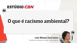 Racismo ambiental entenda por que ministra usou conceito ao se referir às chuvas no Rio [upl. by Dolphin862]